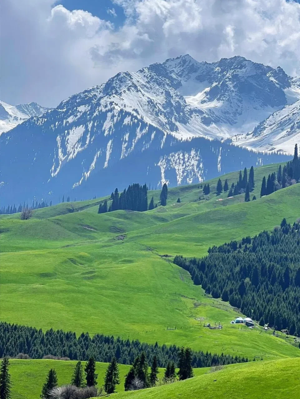 五一沉浸式打卡伊犁路线🔥预算2k必冲‼️