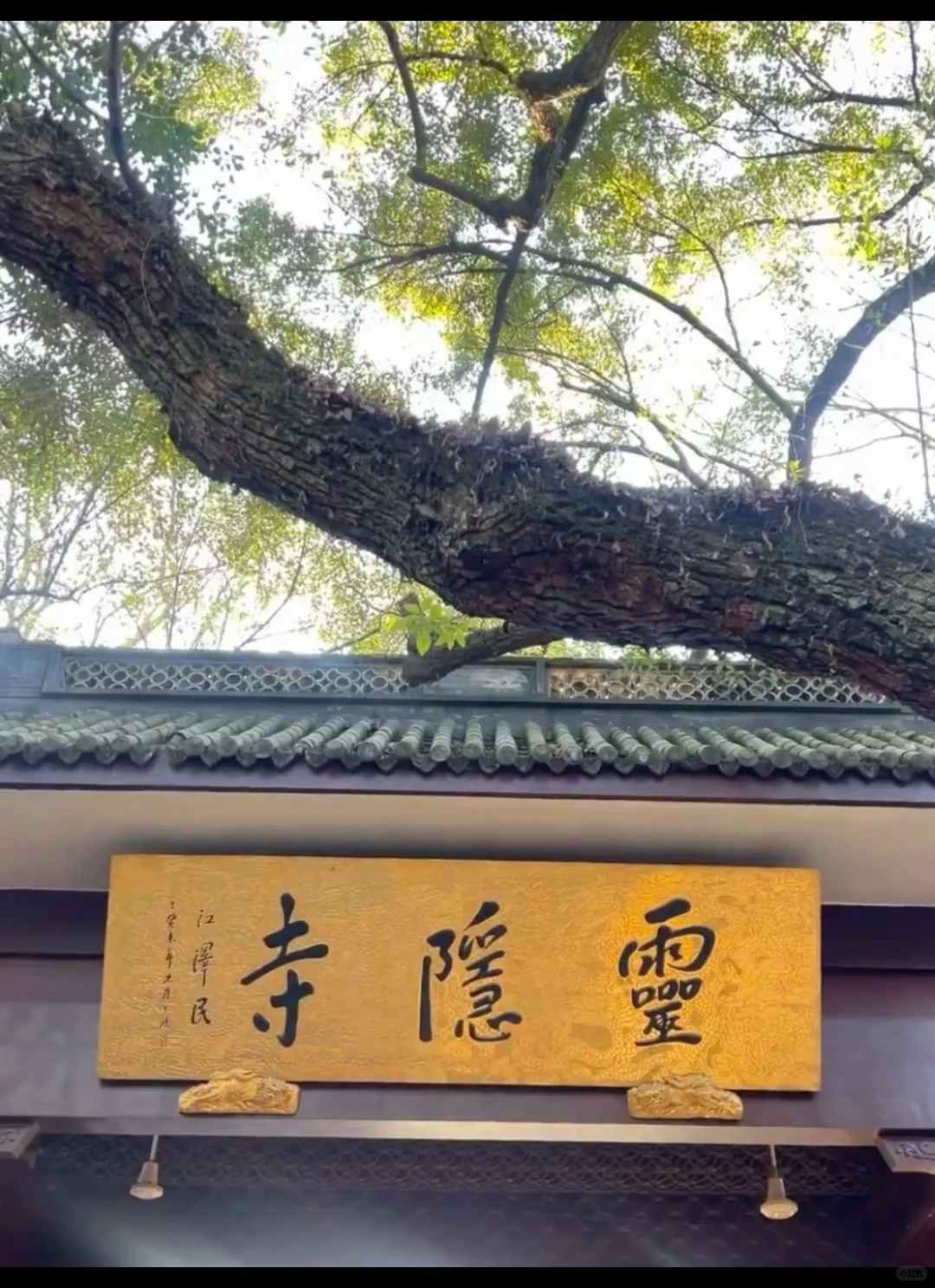 听劝👂🏻3-4月来杭州的姐妹请🐴住