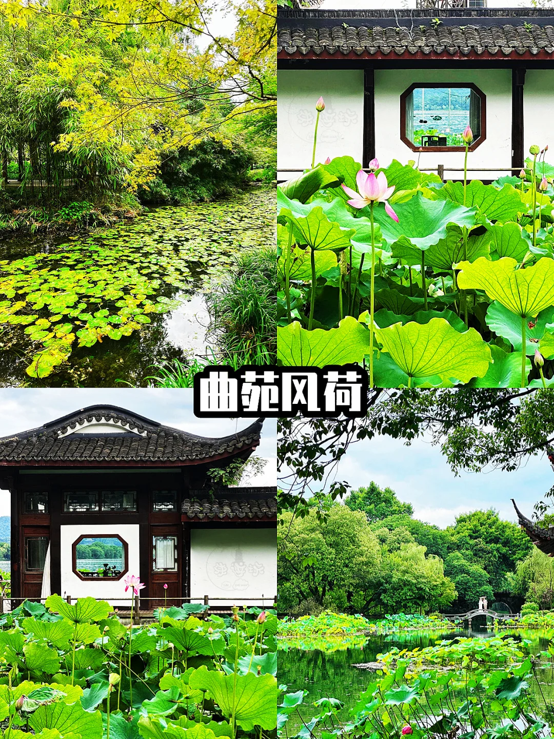 🌸杭州慢游记✨3天2夜超省心攻略来啦！