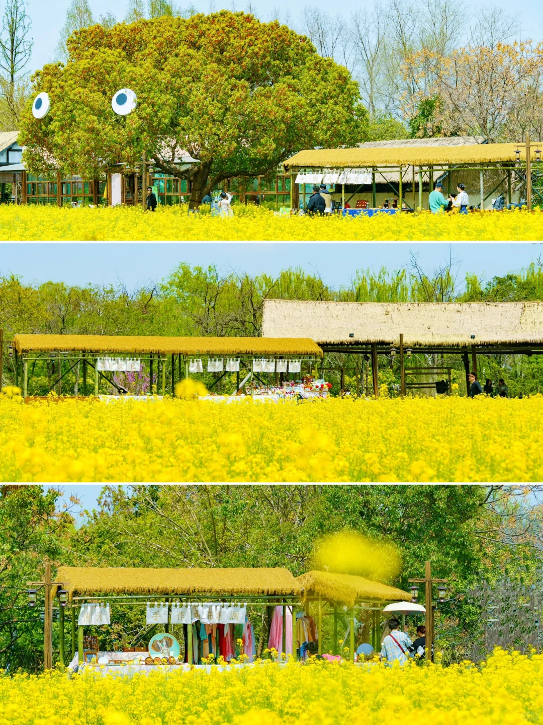 被《国家地理》评为最美的江南古镇👍有多绝