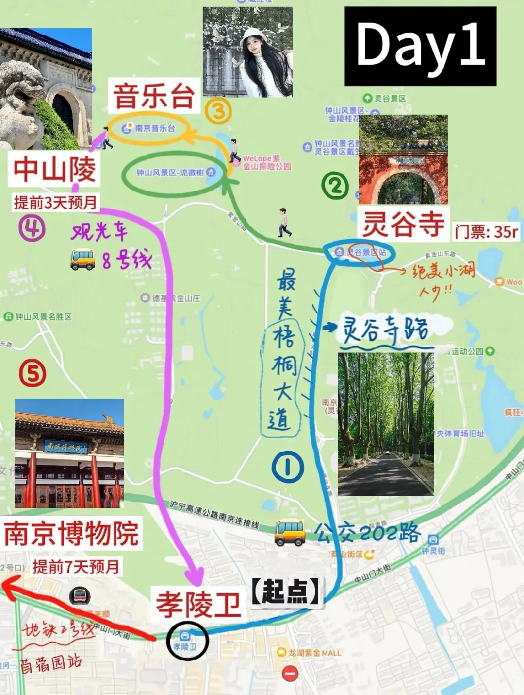 N刷南京!本人的攻略已经next level了…