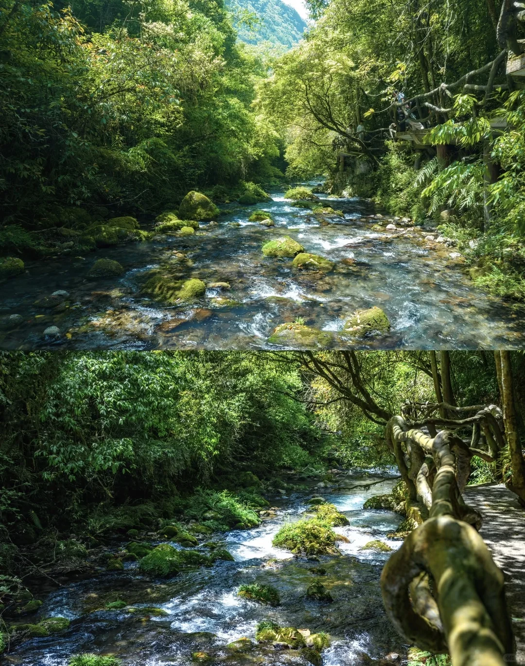 巴山大峡谷