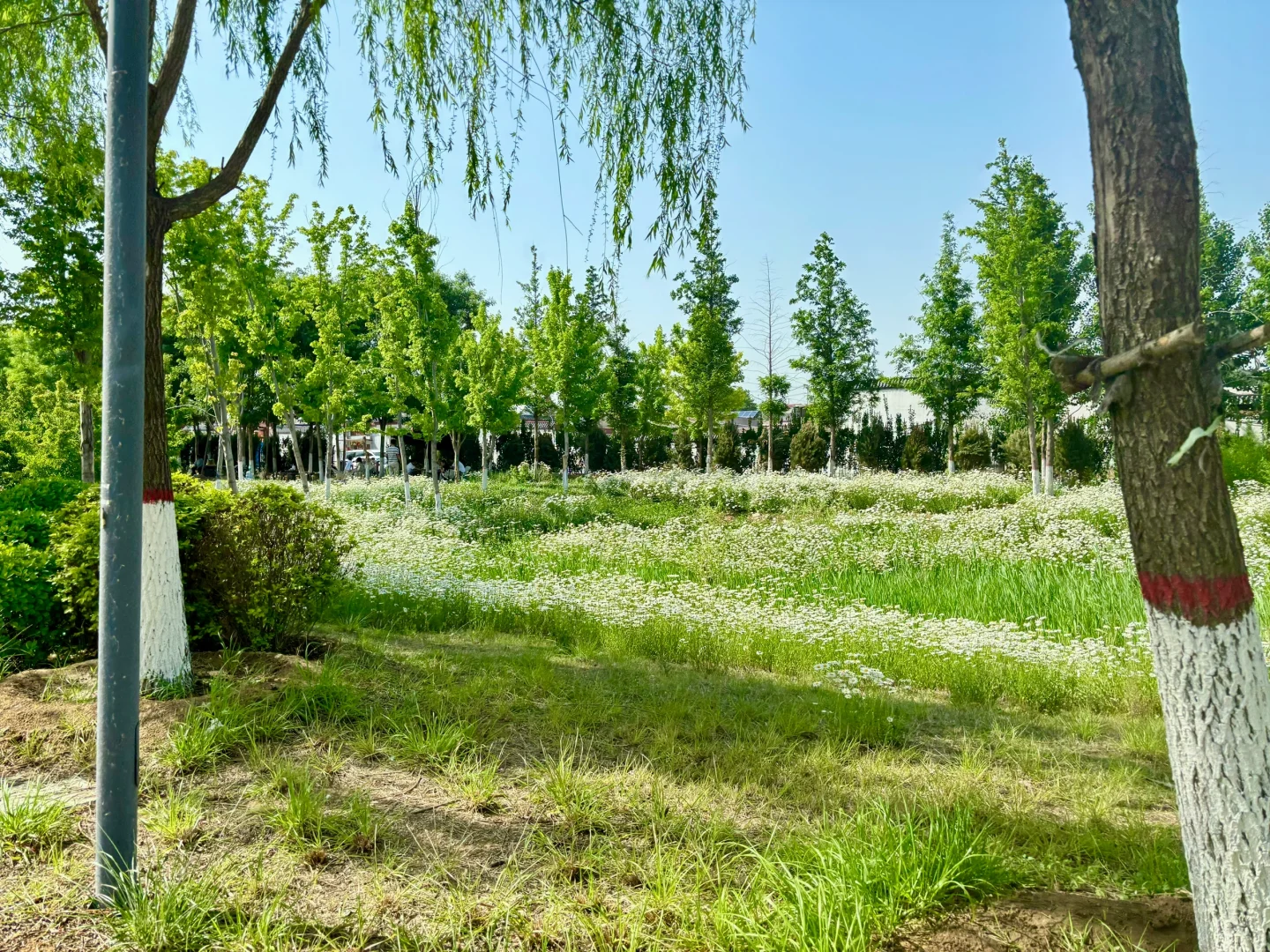 📍邯郸磁县溢泉湖一日游～