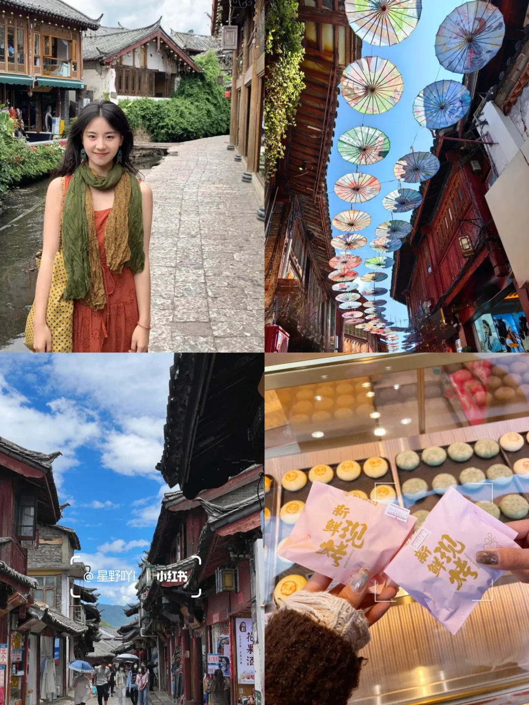 云南已回,建议3-4月淡季去,好玩又便宜…