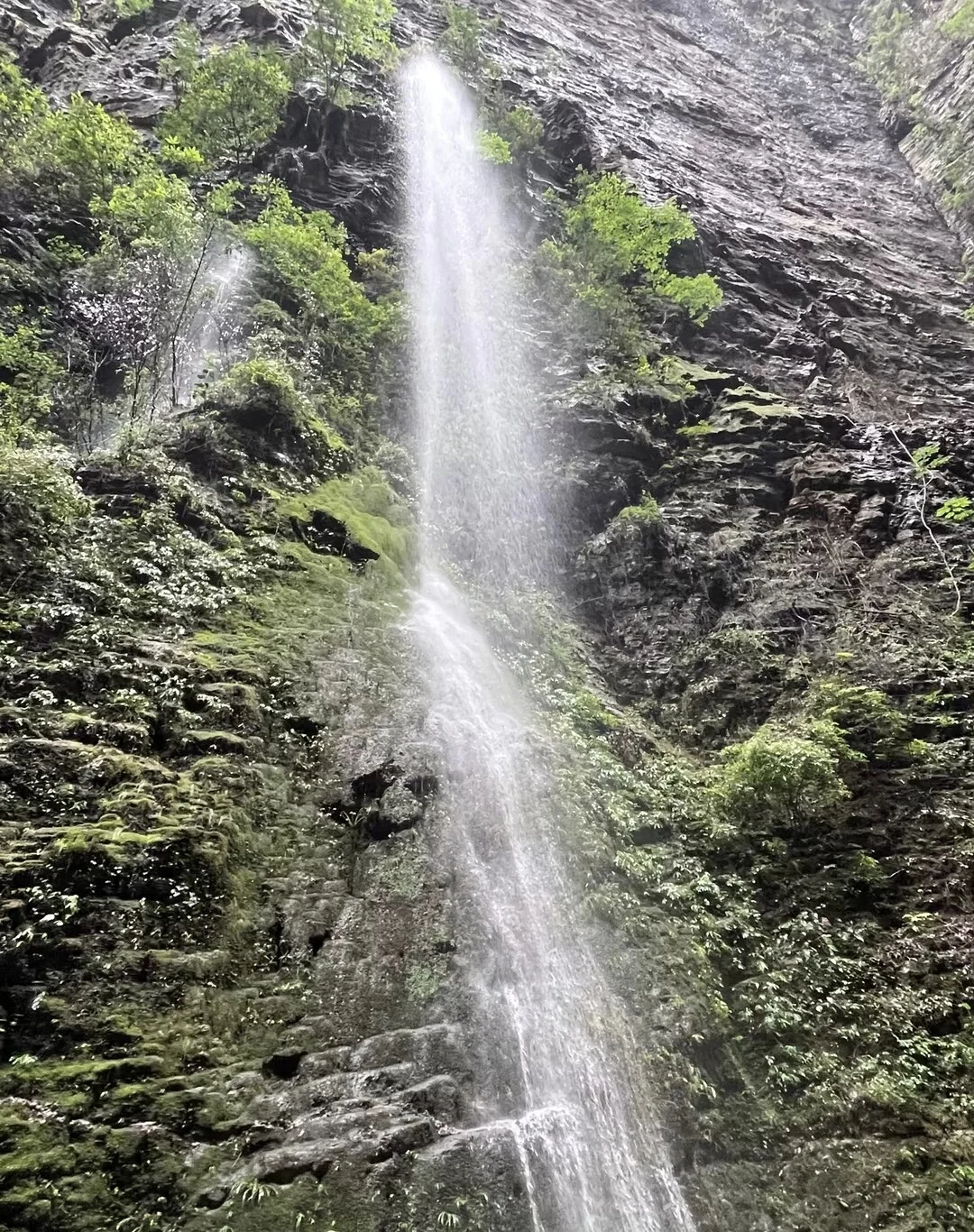 巴山大峡谷