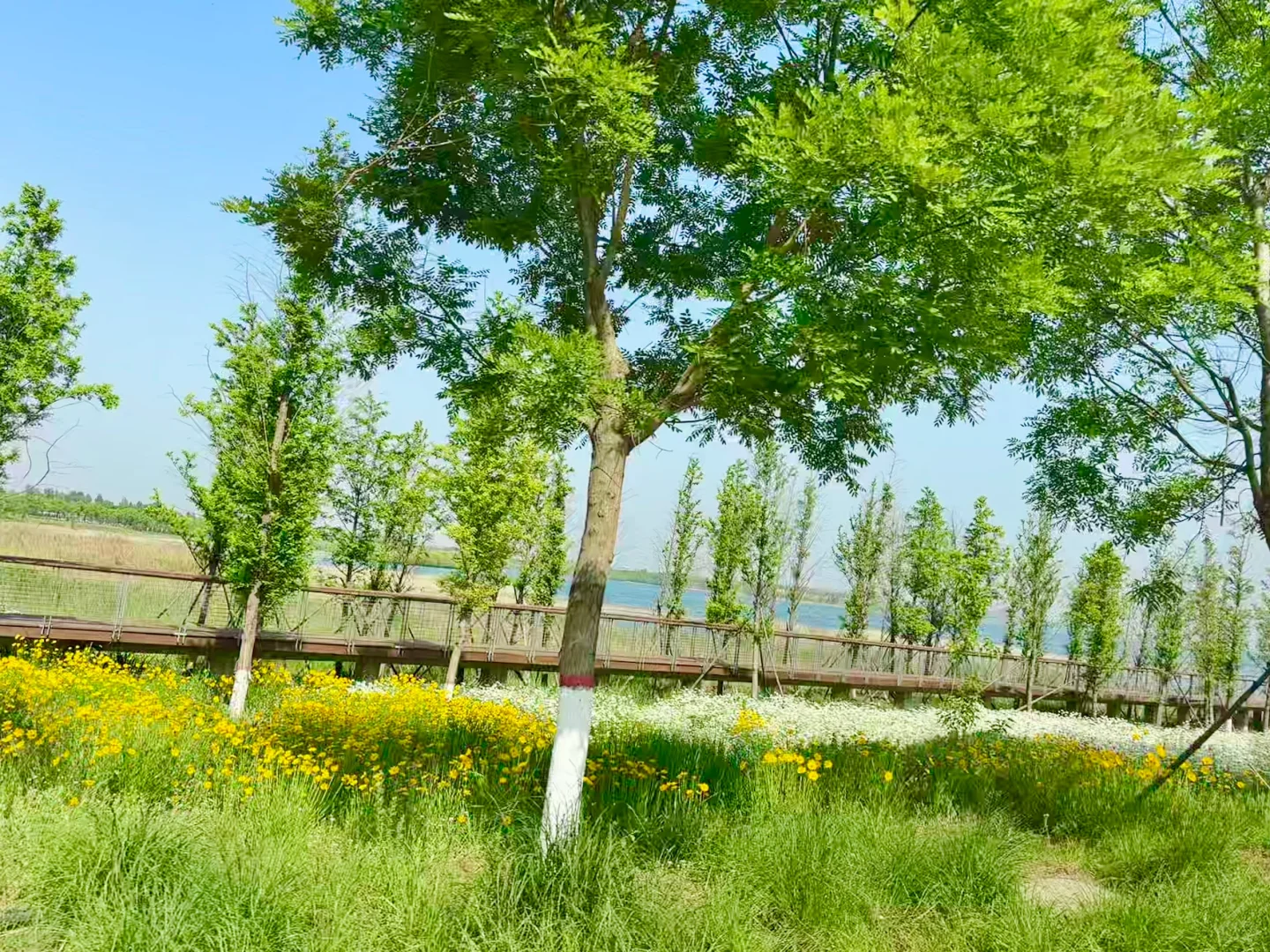 📍邯郸磁县溢泉湖一日游～