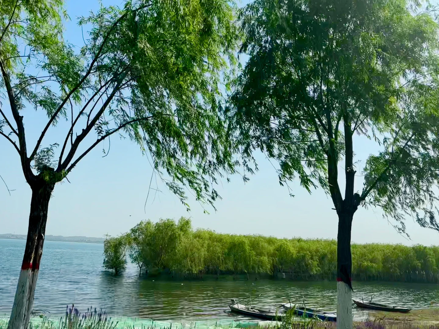 📍邯郸磁县溢泉湖一日游～