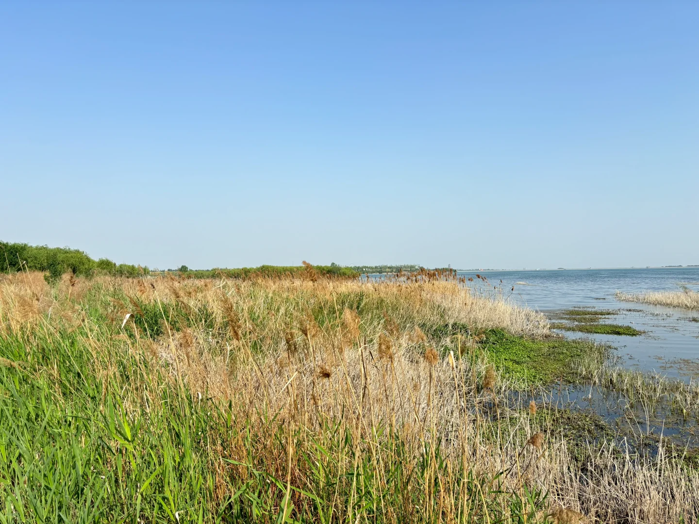 📍邯郸磁县溢泉湖一日游～