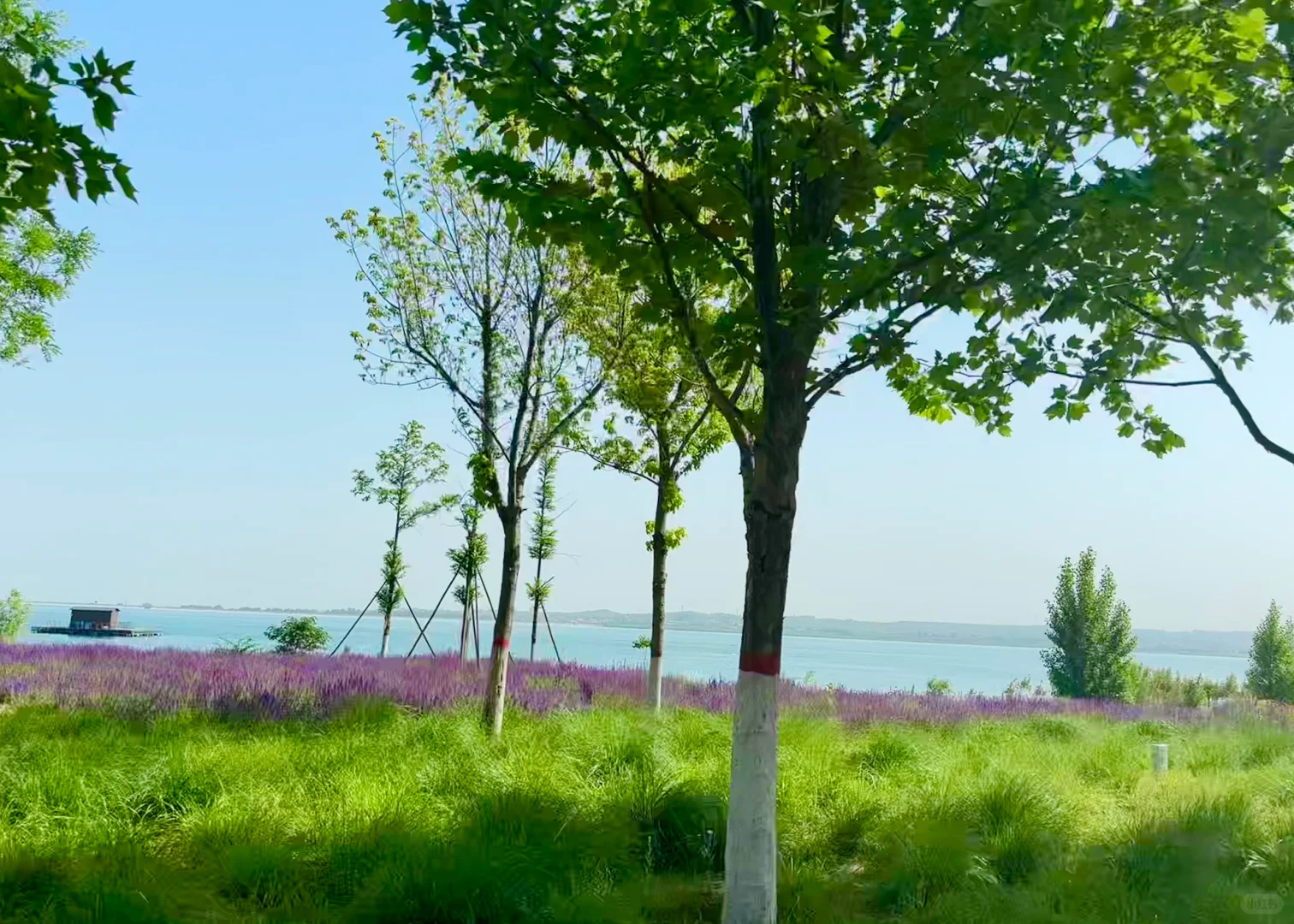 📍邯郸磁县溢泉湖一日游～