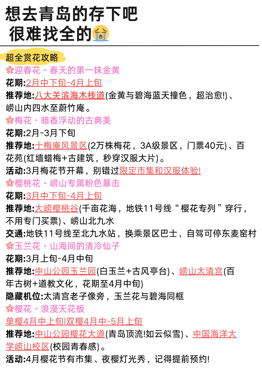青岛会惩罚每一个不预约的人😭