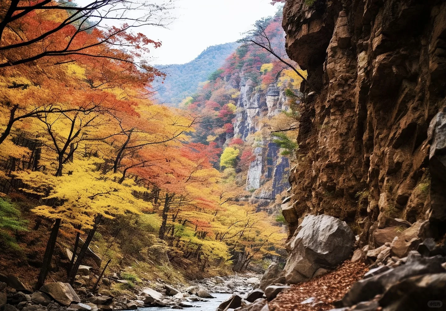 巴山大峡谷