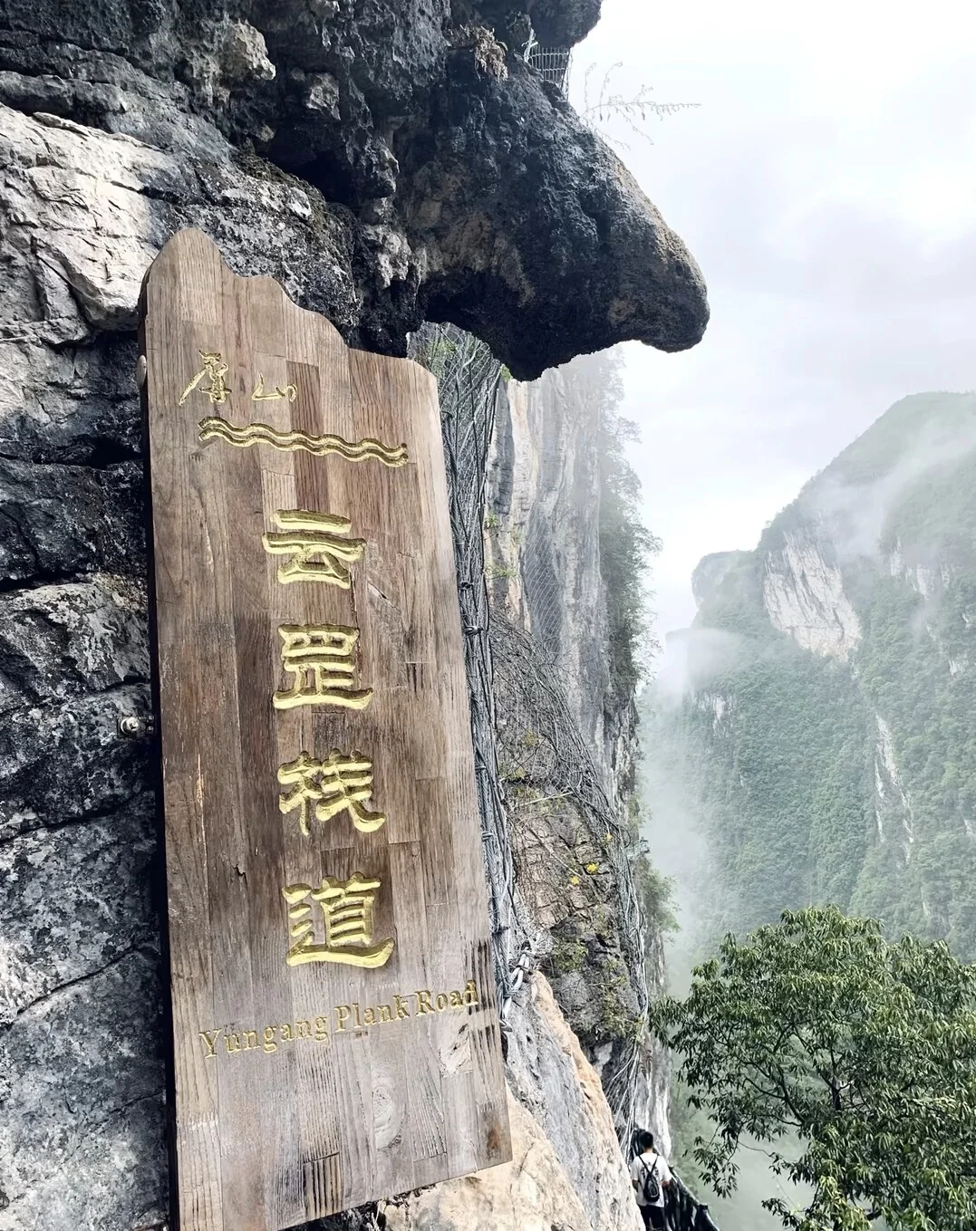 巴山大峡谷