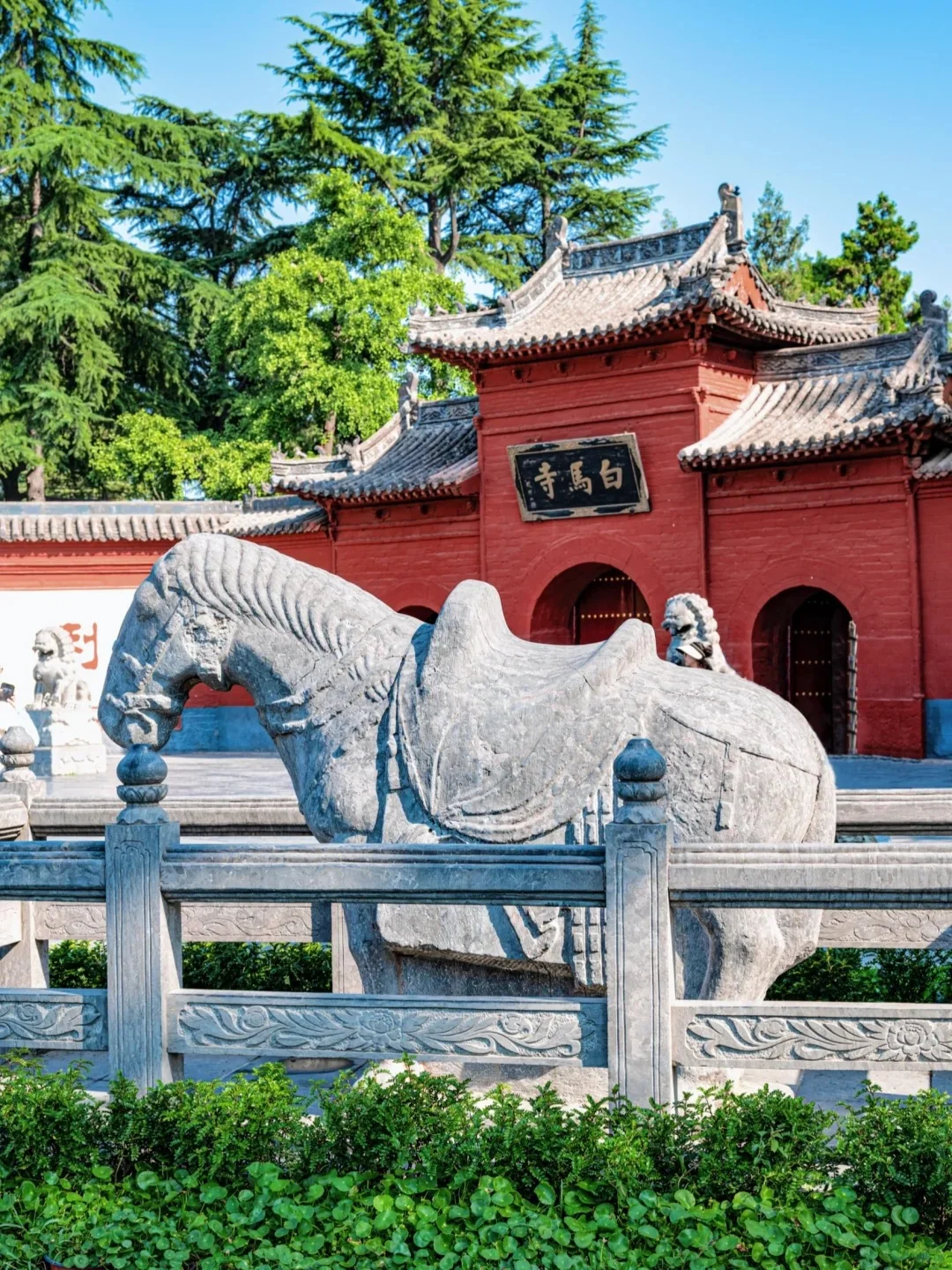 洛阳必去9大景点‼️开启千年古都之旅