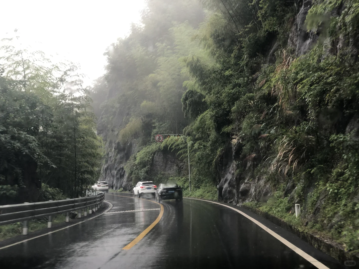 秋名山车神训练营-安吉江南天池分部