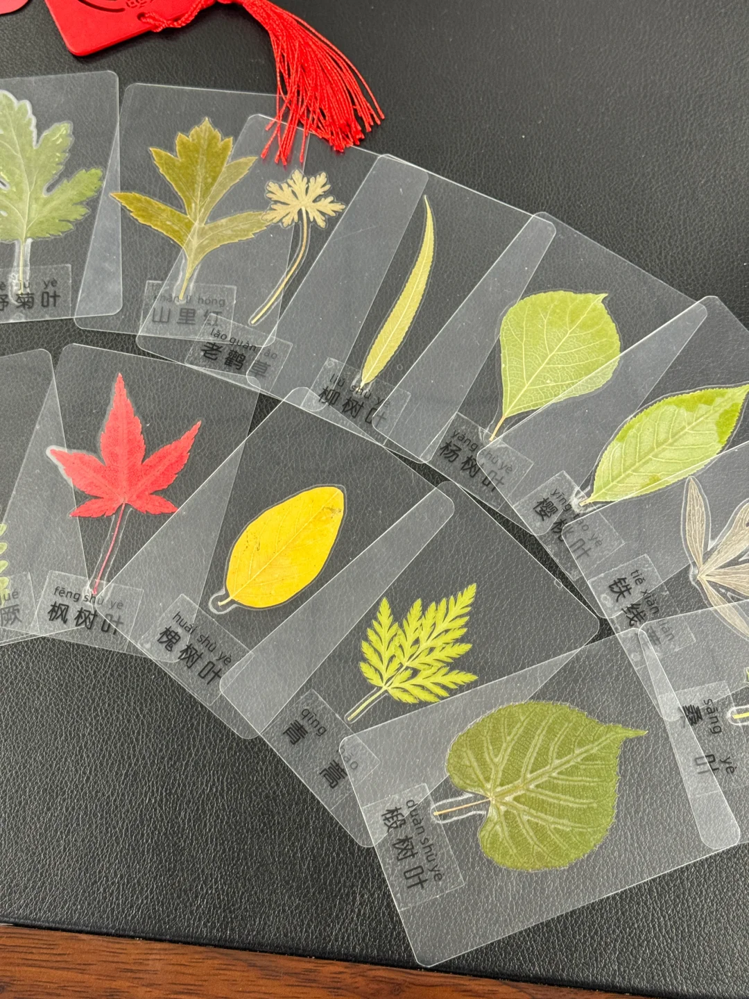 姐妹们，哈尔滨这个景区这波赢麻啦！