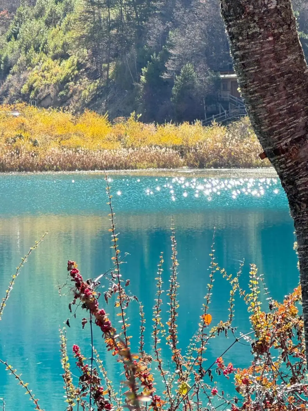 4.16📍九寨沟带娃已回，我来说点大实话！！