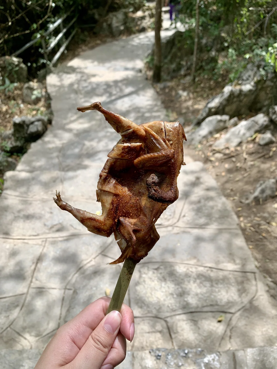 荔波小七孔已回！划船避雷指南！
