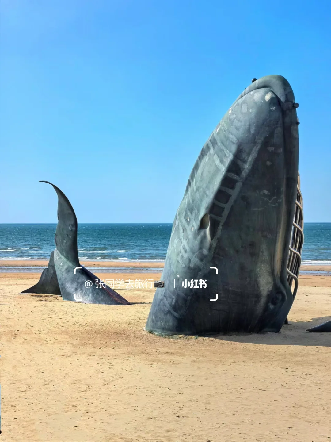 五一来烟台，说说我的感受…