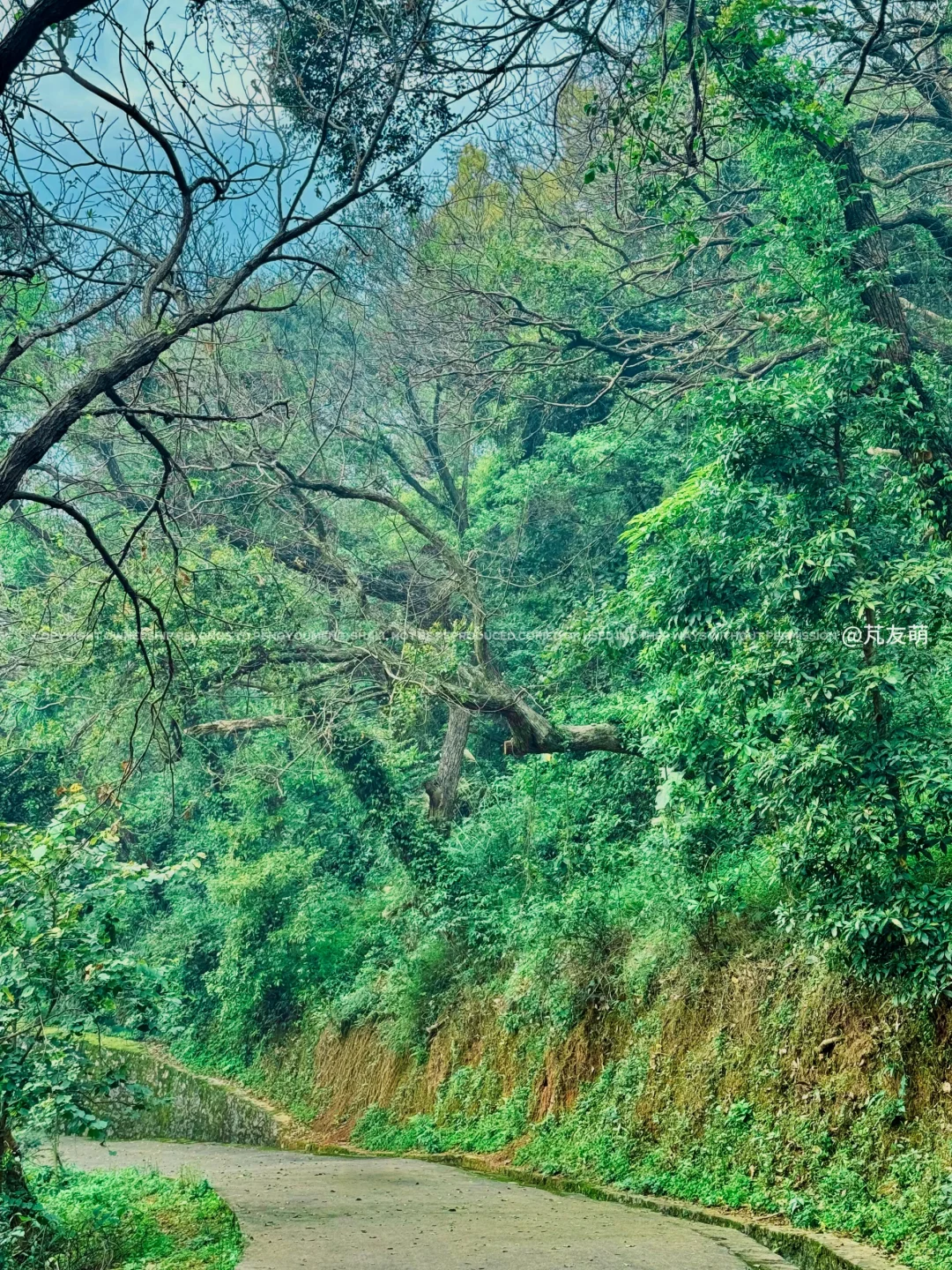 不用去山西‼️广西也有自己的