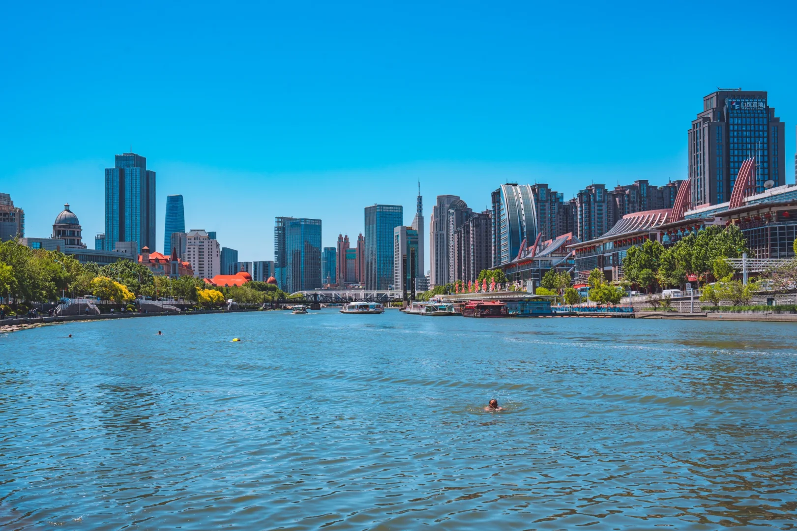 先出发再说｜天津8A景区：来狮子林桥看跳水