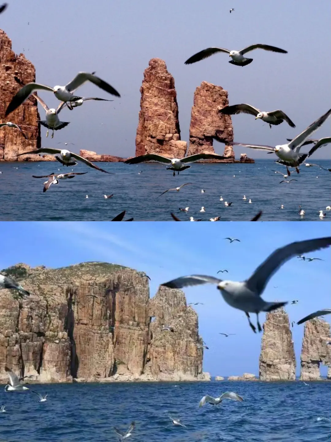 烟台丨 一定要去的5个绝美景点！美哭啦