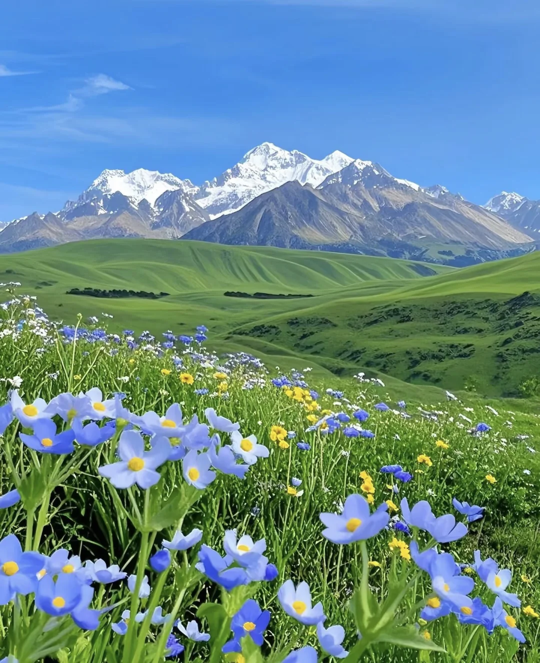 live图| 5月伊犁封神级攻略♥️