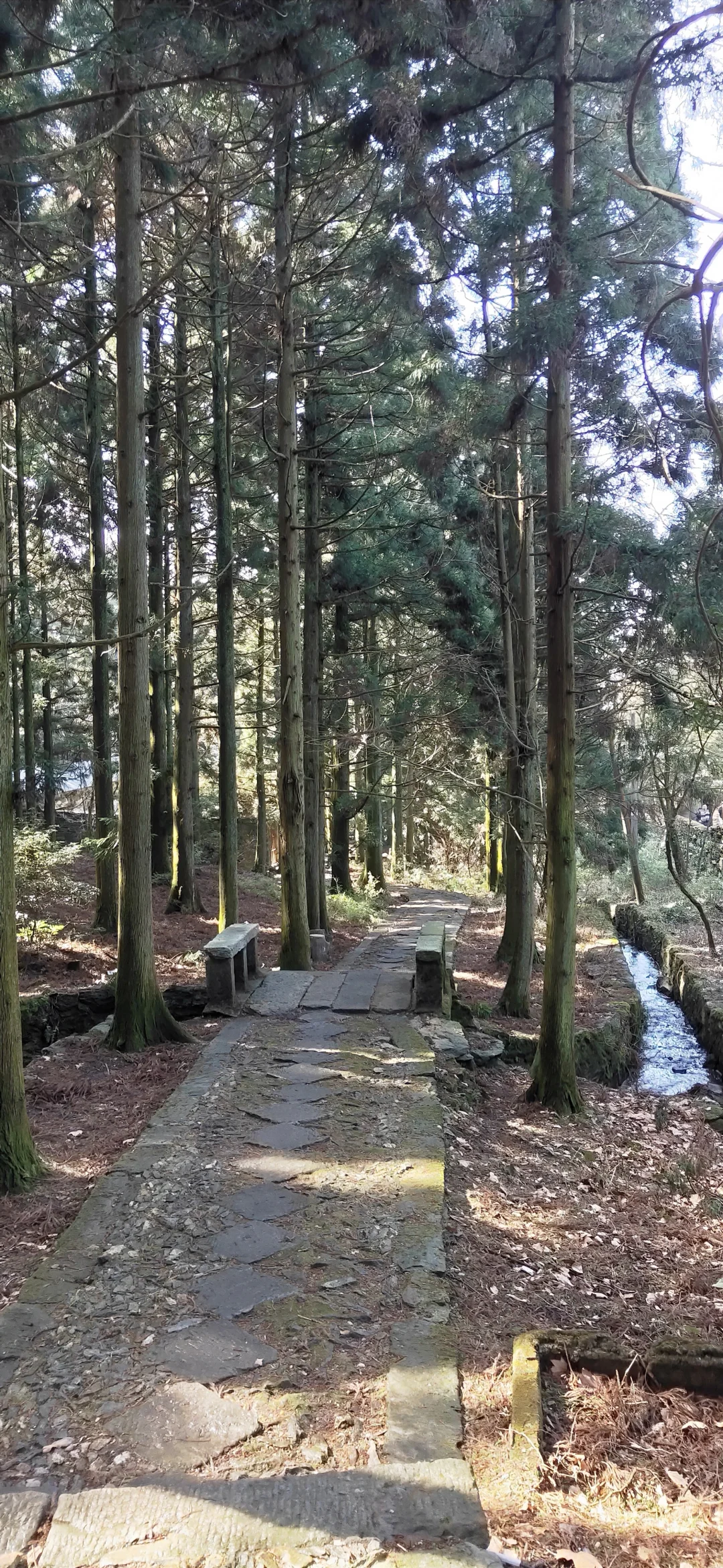 值得一去的景点庐山