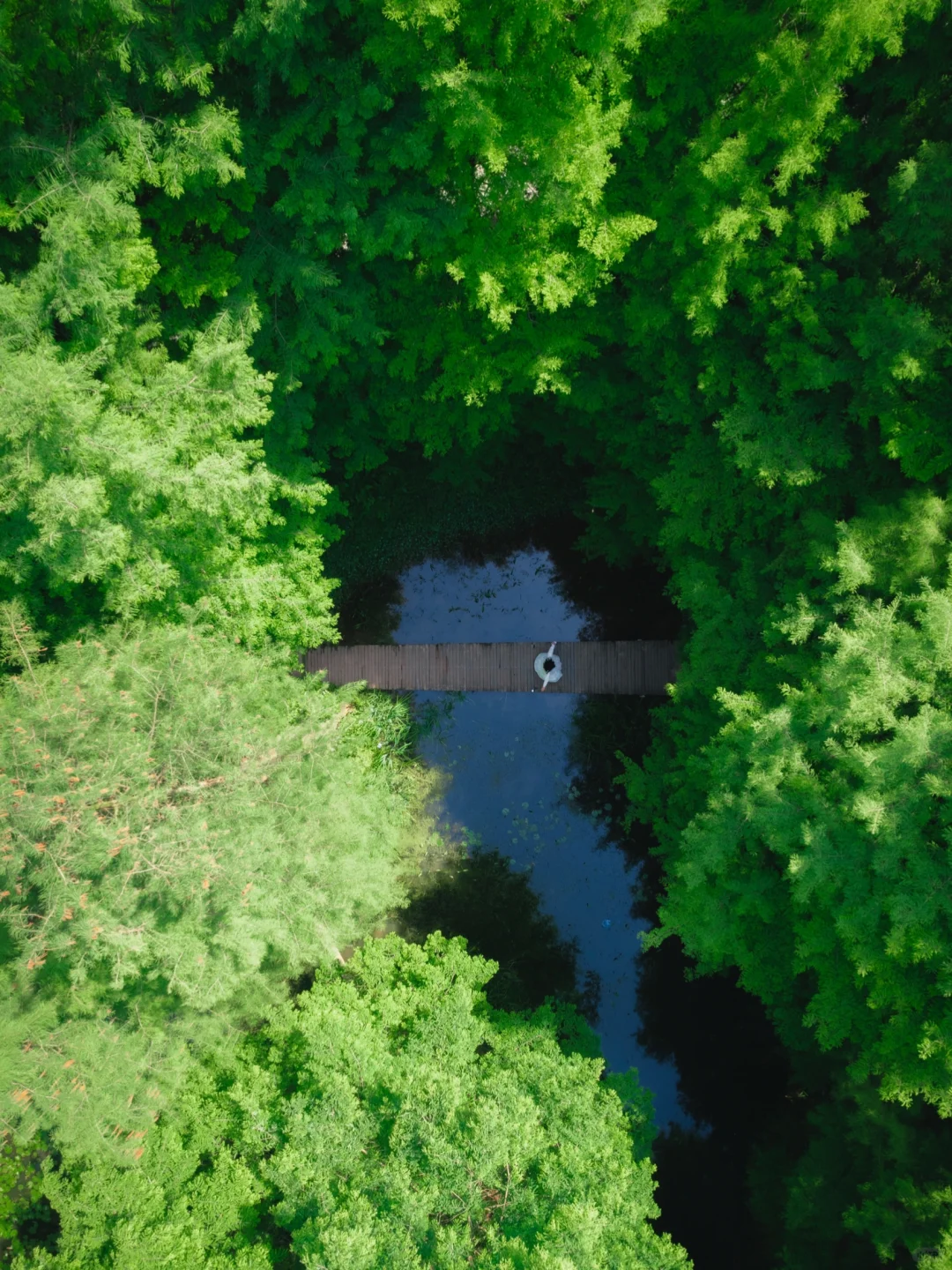 不是香港是宜昌，迄今为止我最喜欢的城市