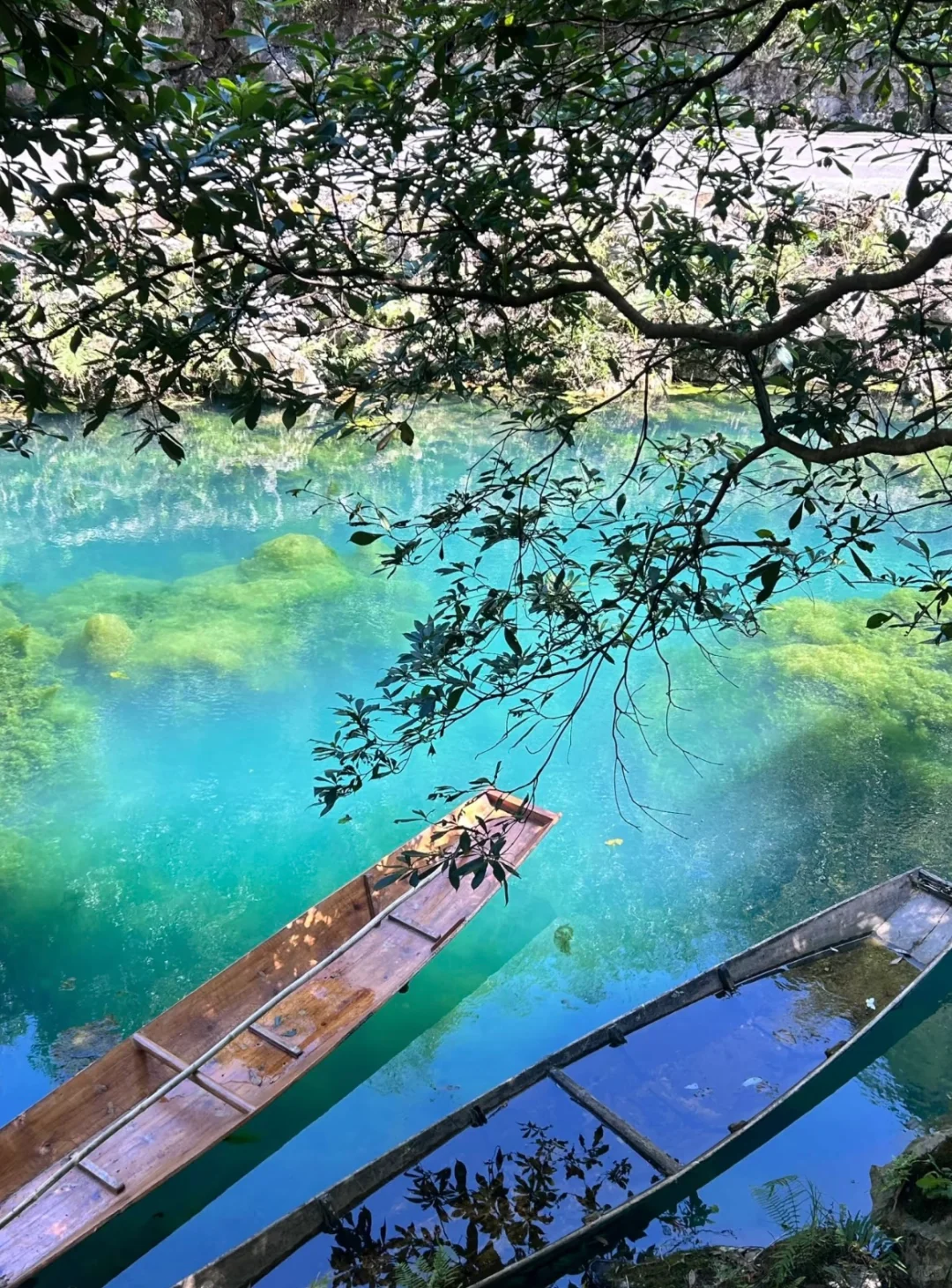 像梦一般的蓝月谷⛰️都来小七孔！！！