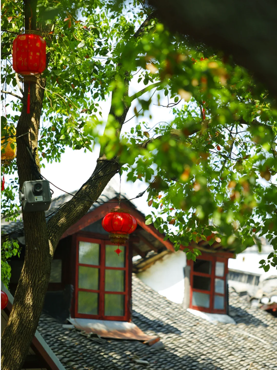 五一下江南，偷得浮生半日闲~