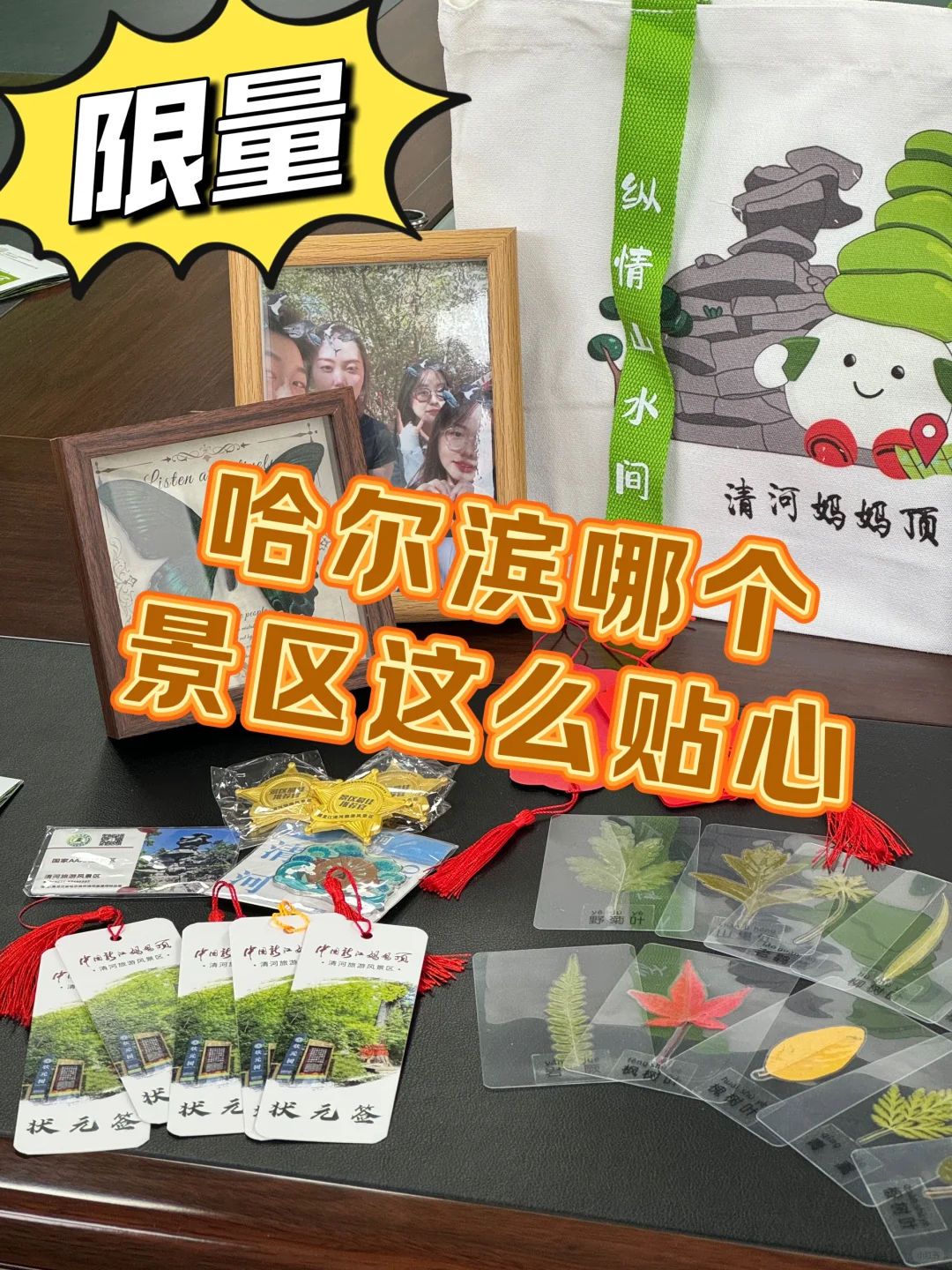 姐妹们，哈尔滨这个景区这波赢麻啦！