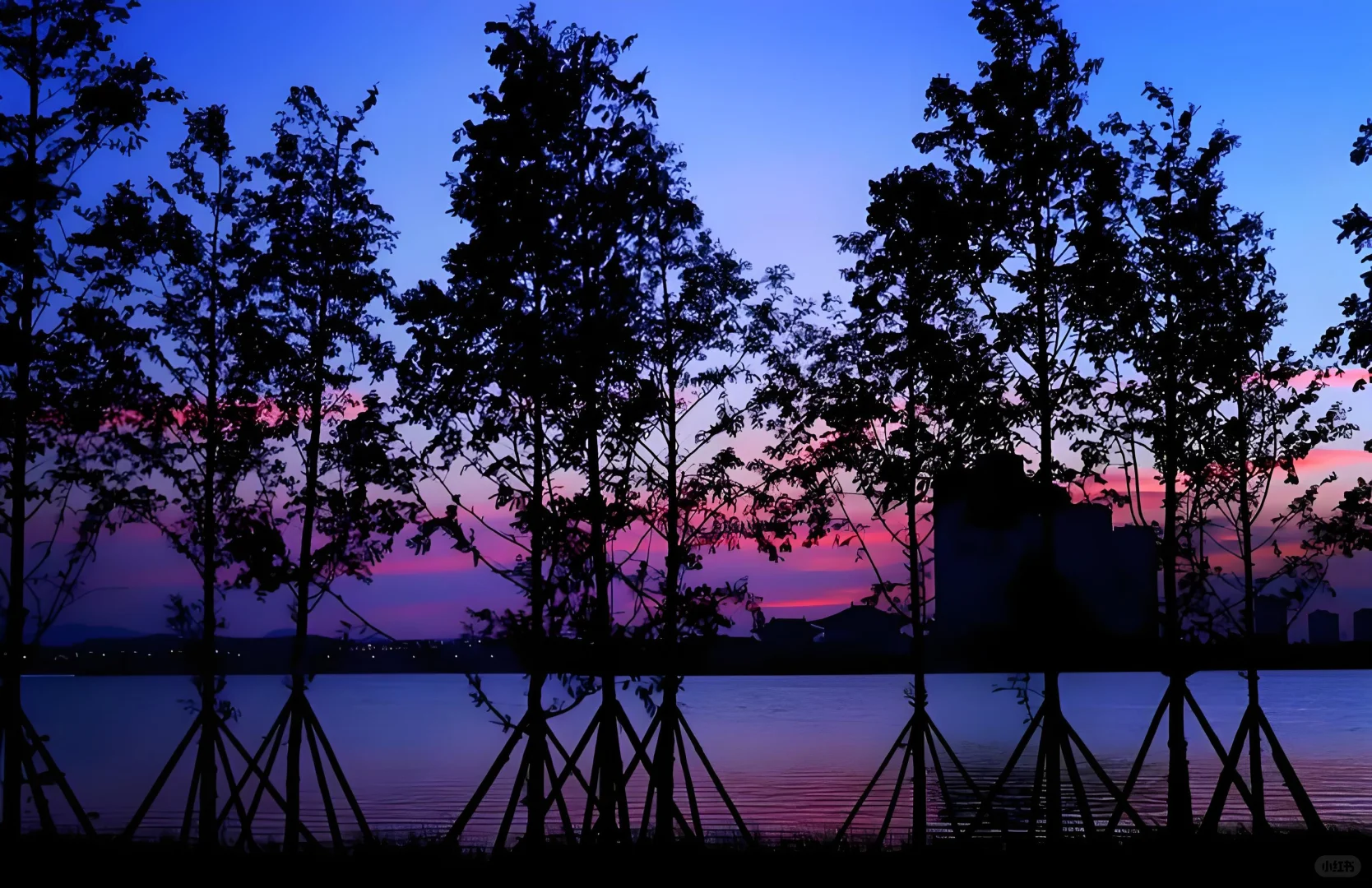 2025爆肝整理!长沙县旅游攻略+宝藏酒店