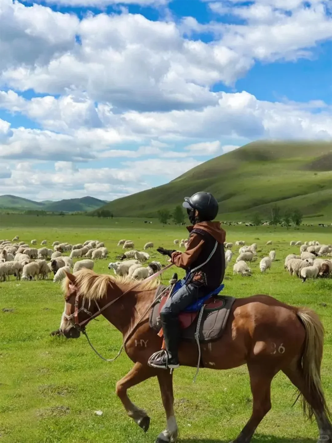 别问了！不是白崖！是呼伦贝尔草原尽头的海