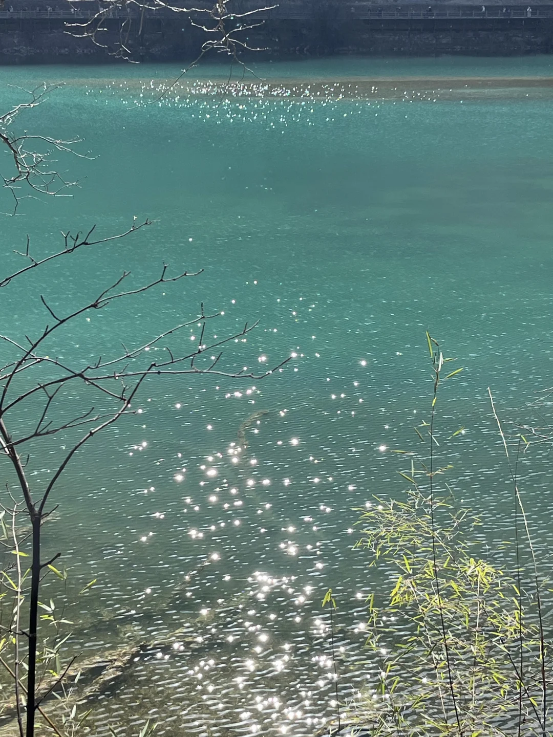 4.16📍九寨沟崩溃现状🤯别被xhs“误导”了