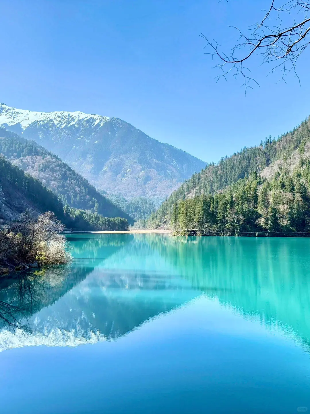 4.16📍九寨沟带娃已回，我来说点大实话！！