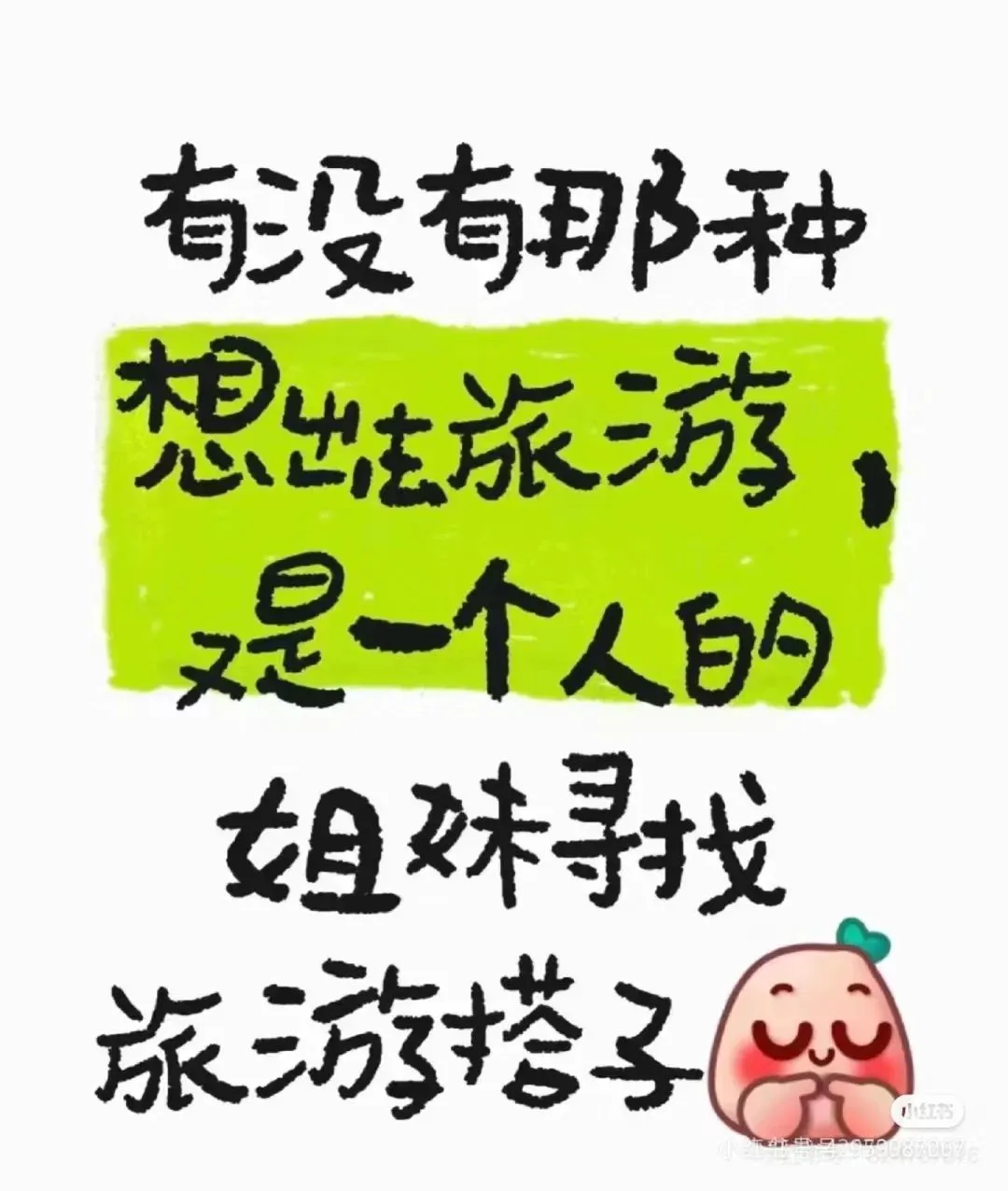 旅游同行者