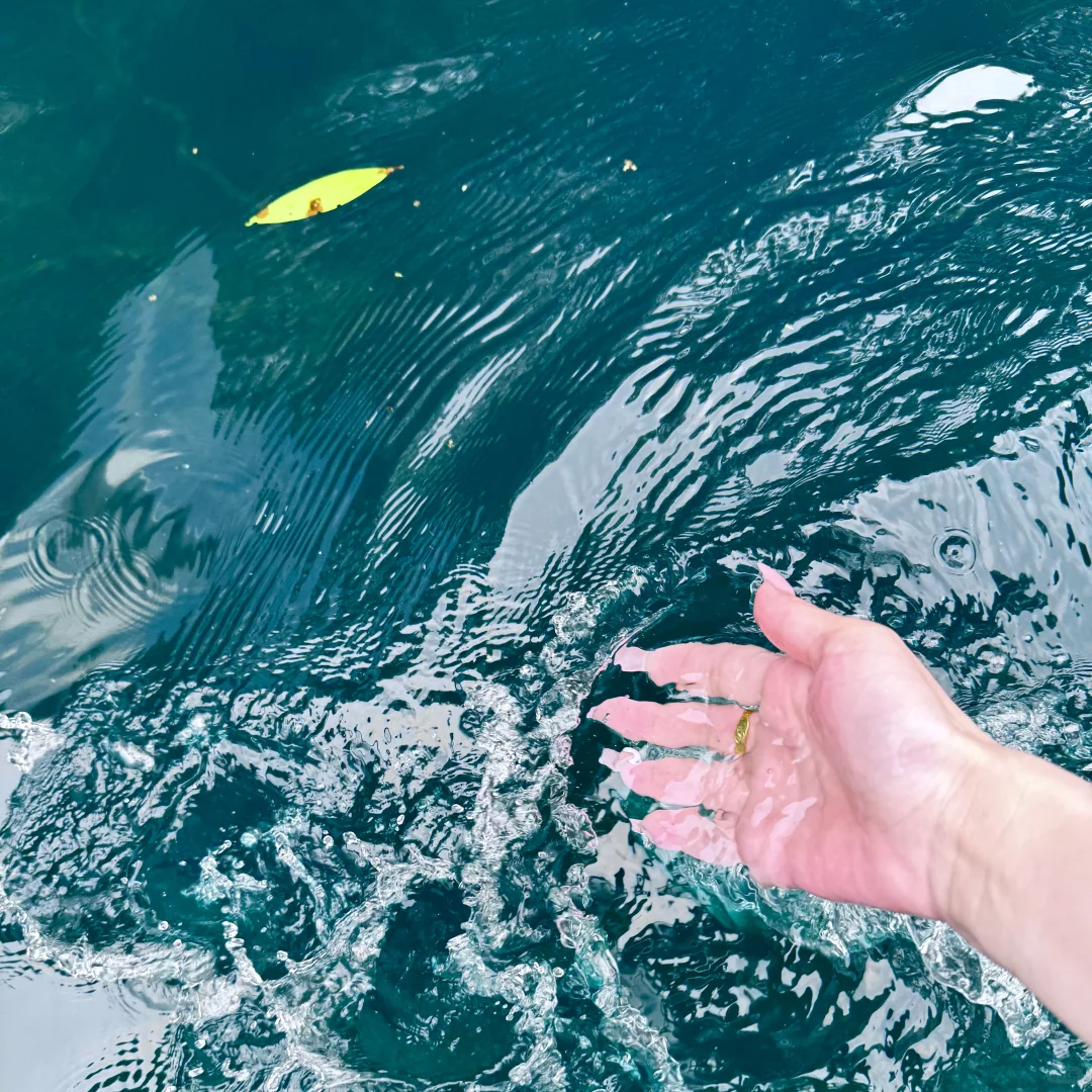 南宁-荔波四小时游 千万不要从西门进