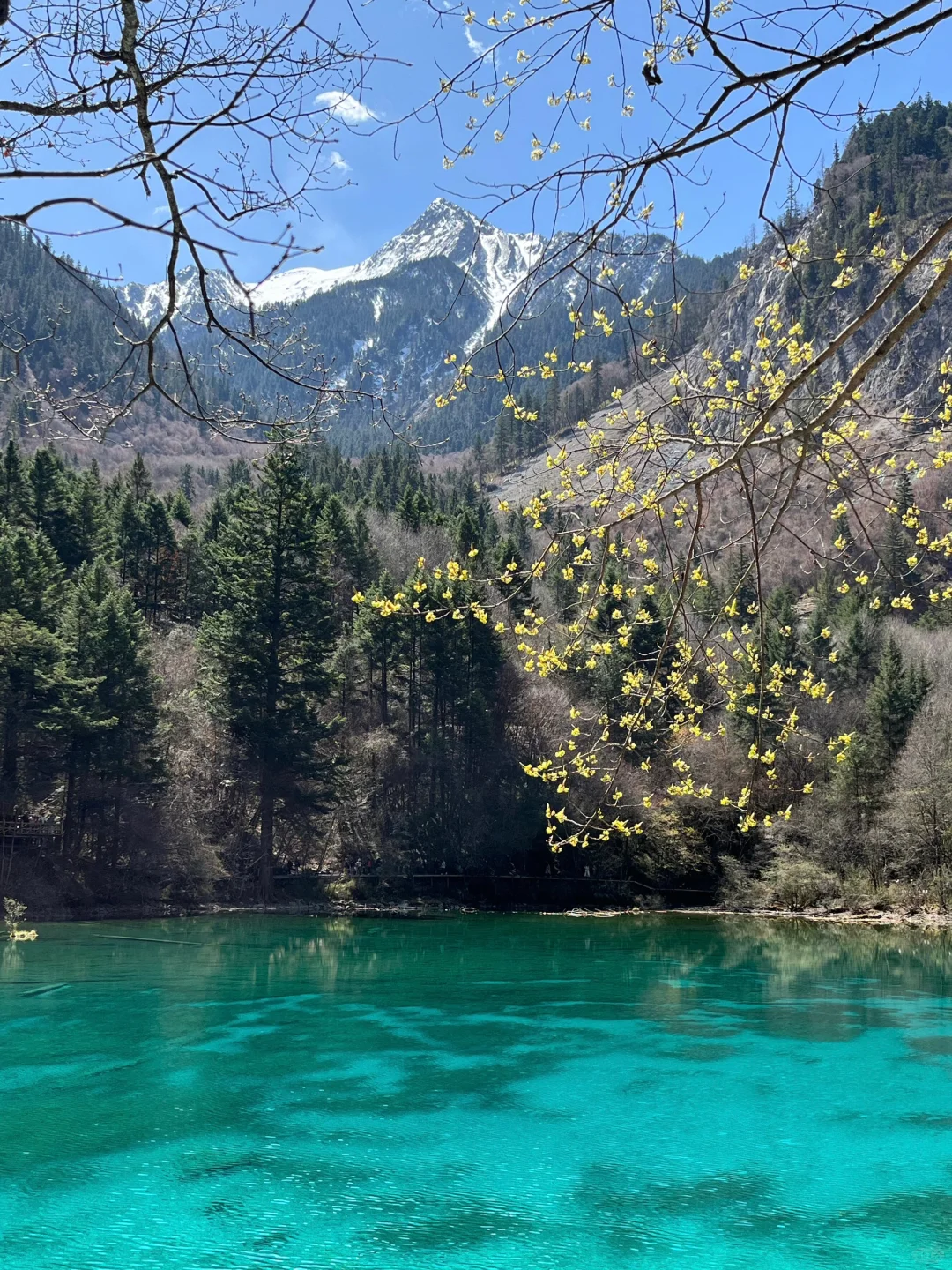 4.16📍九寨沟崩溃现状🤯别被xhs“误导”了