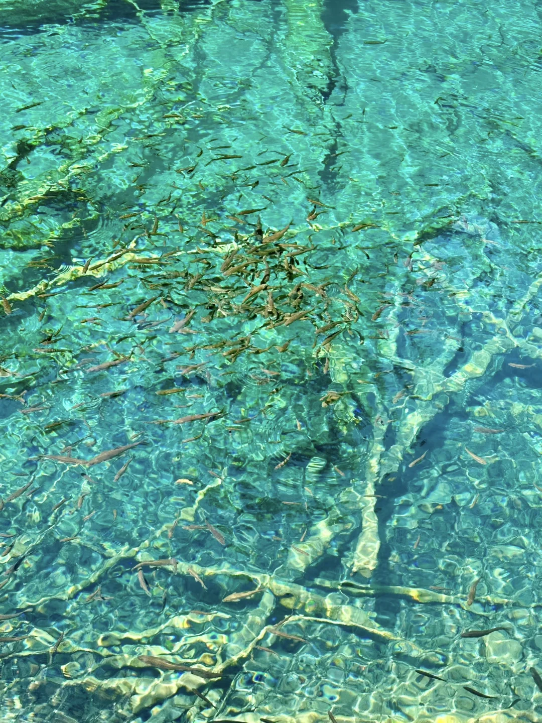 4.16📍九寨沟崩溃现状🤯别被xhs“误导”了