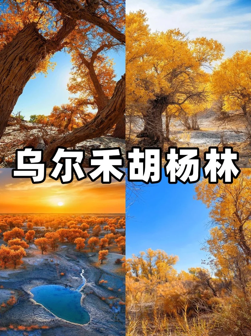 阿勒泰必去九大景点🔥：旅行前的终极指南