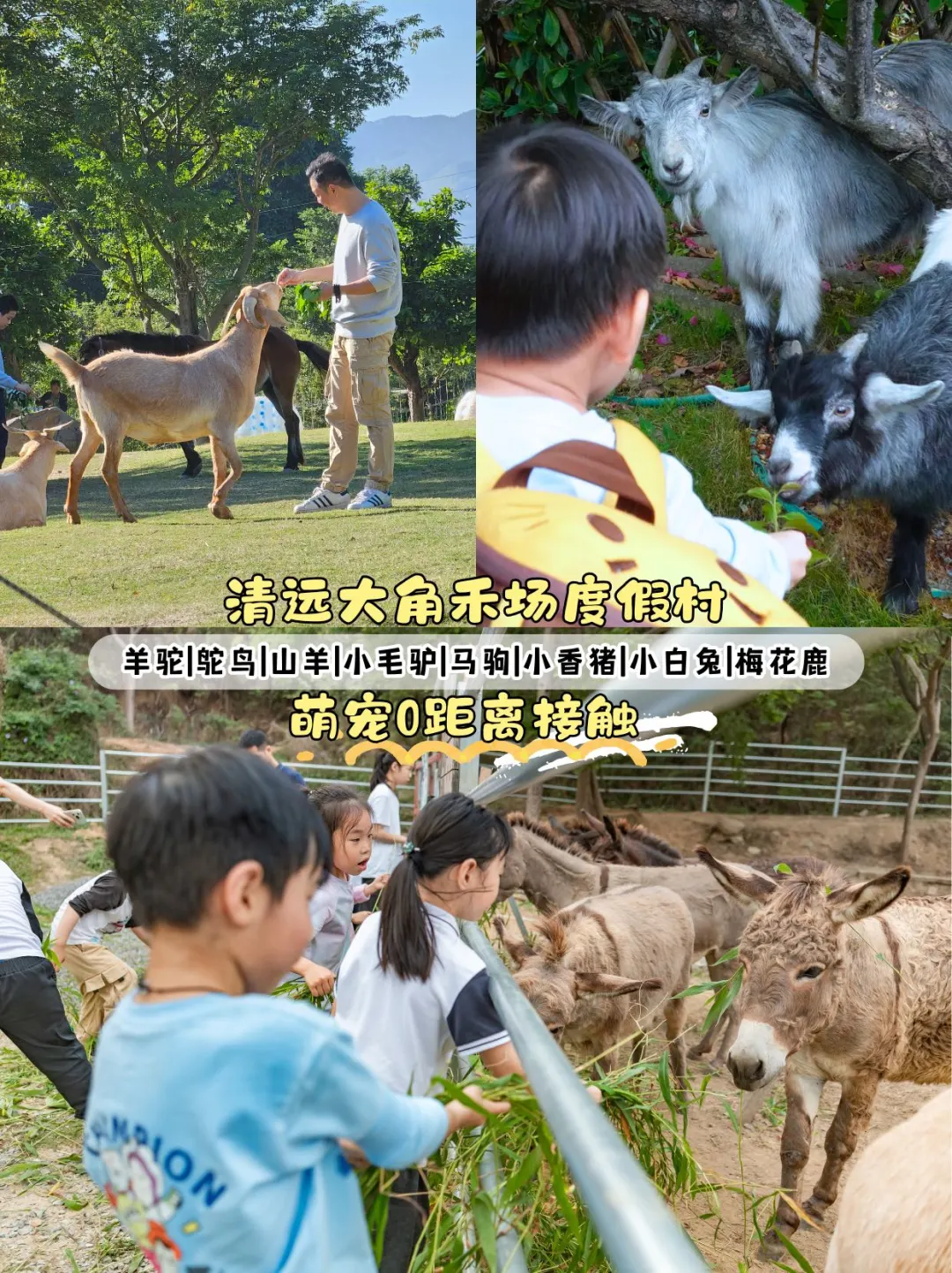 🌿清远亲子必去5大景点｜天花板级别！