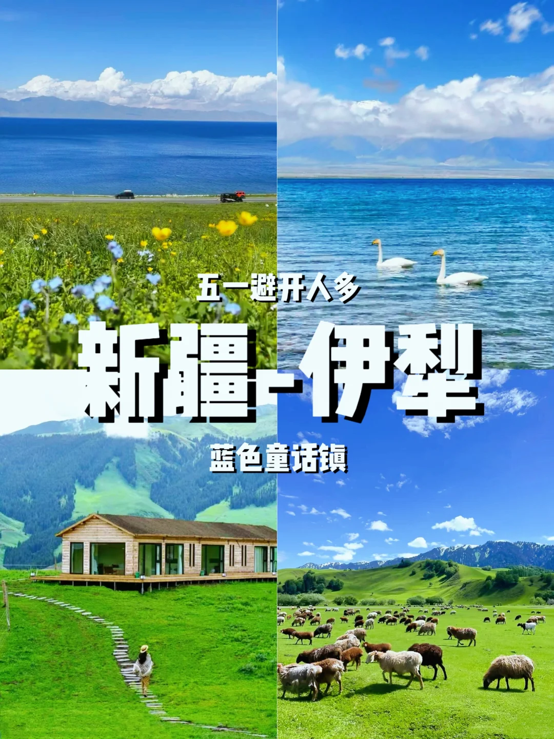 Deepseek推荐，五一反向旅游五个城市！