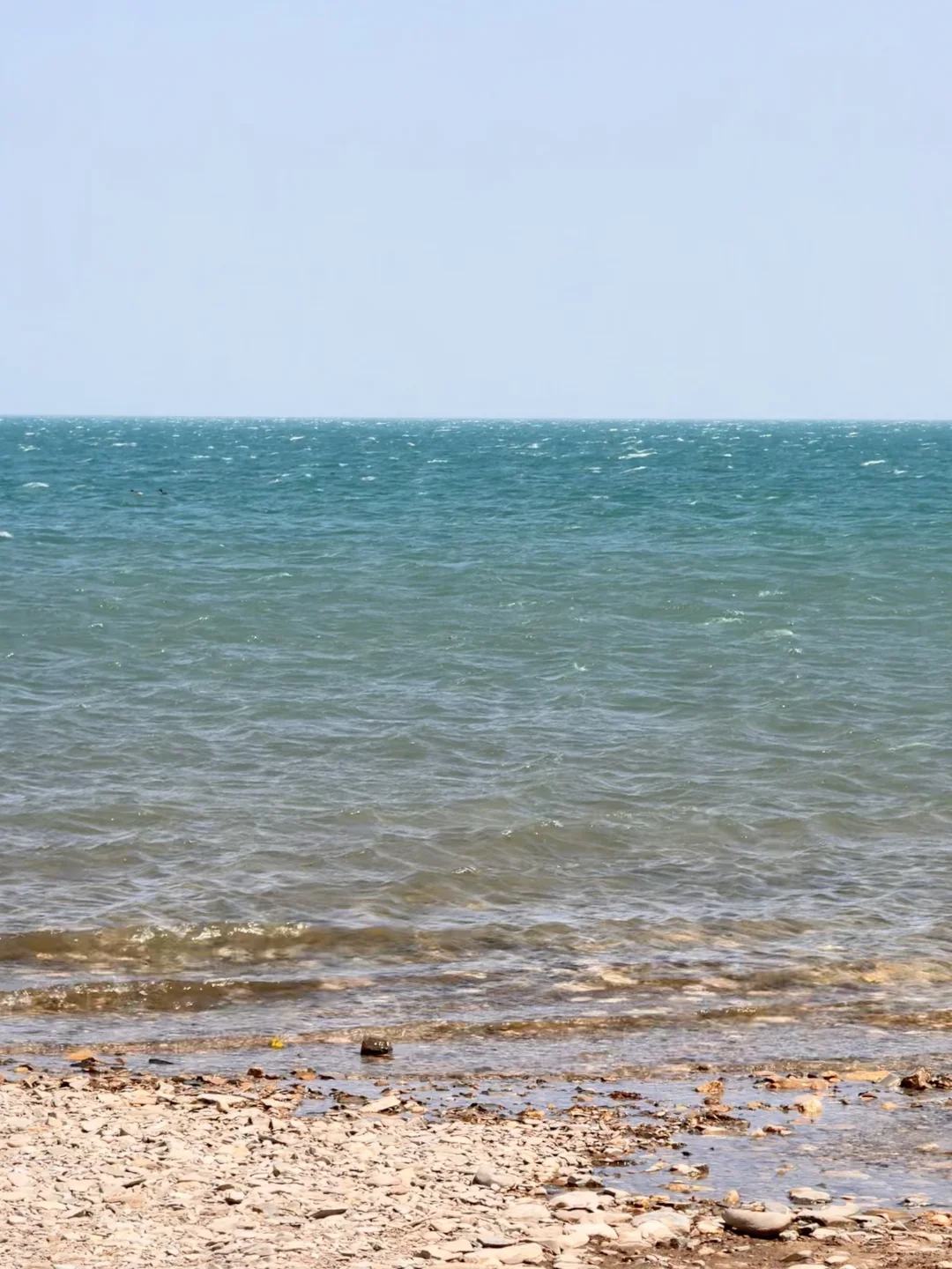 38元青海西宁一日游旅行团真实体验