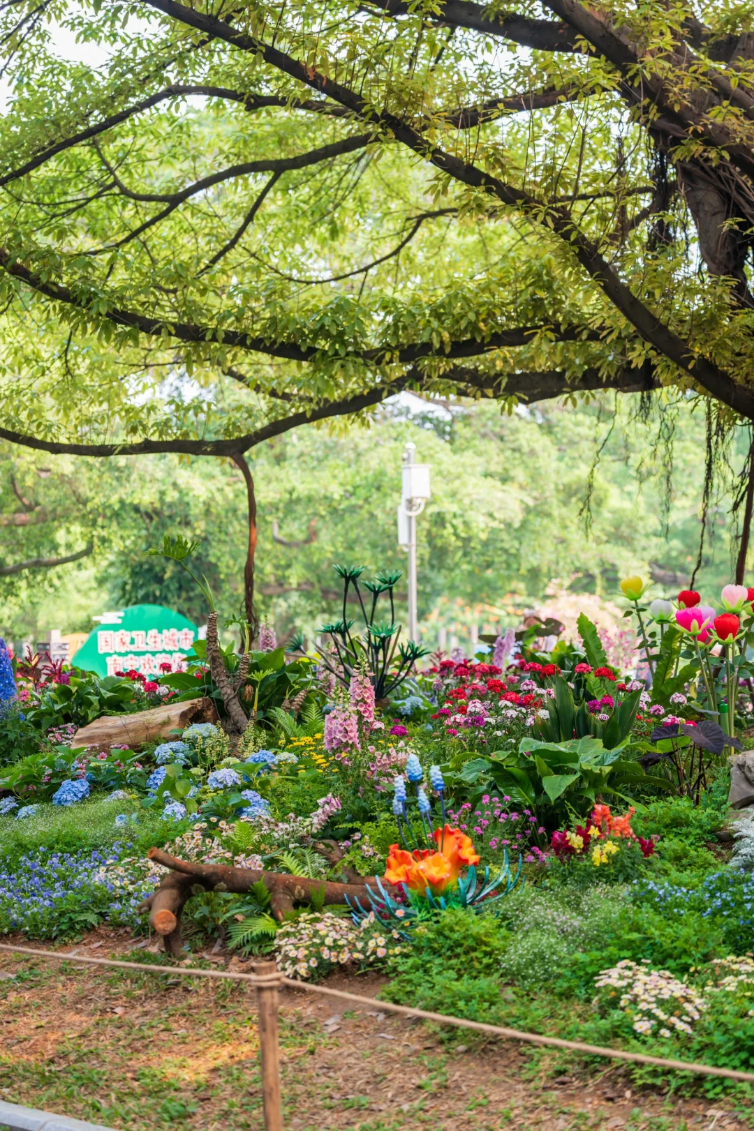 南湖！你只是一个免费公园！不是景区