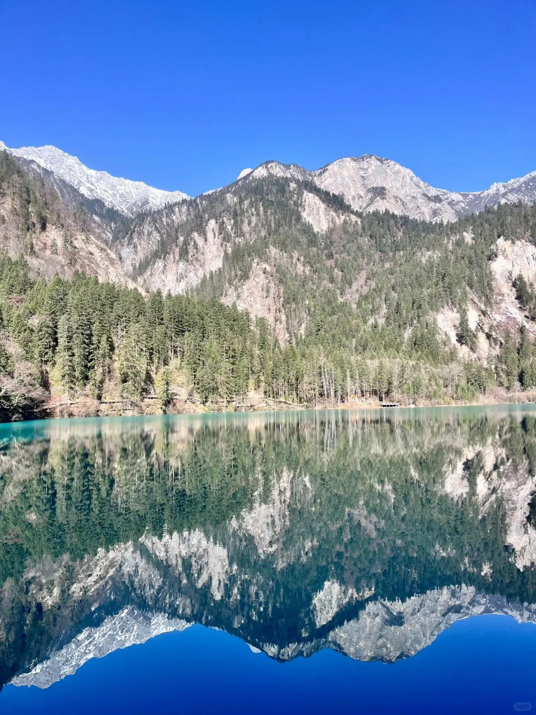 4.14📍九寨沟高铁已回🥶，有点崩溃了.