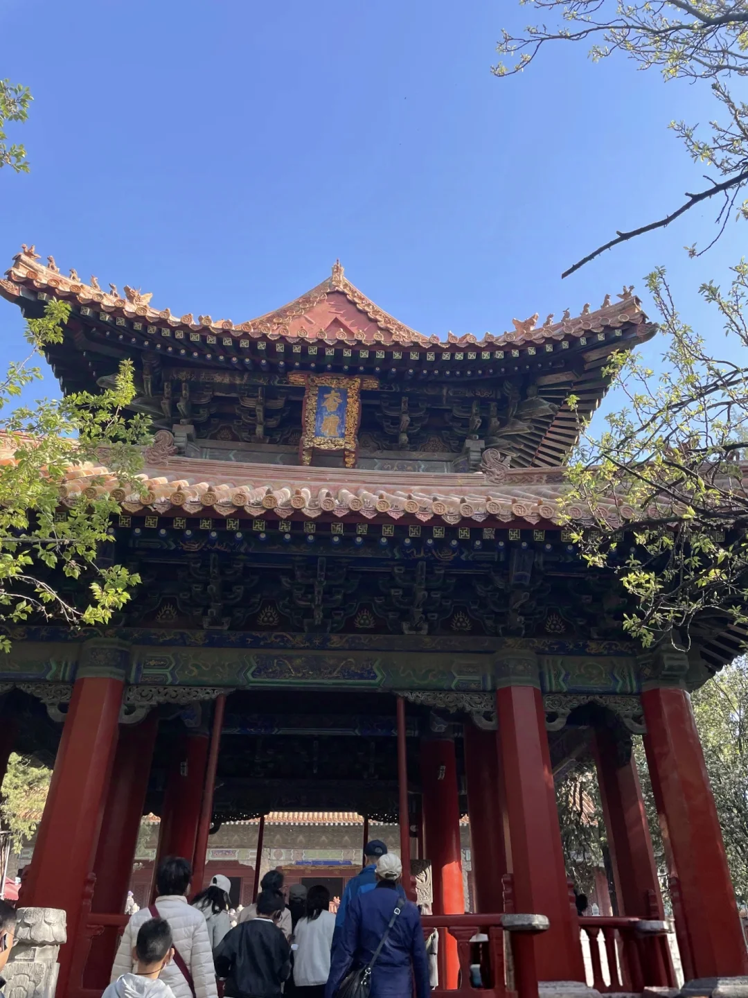 这份游曲阜攻略，不踩雷✅