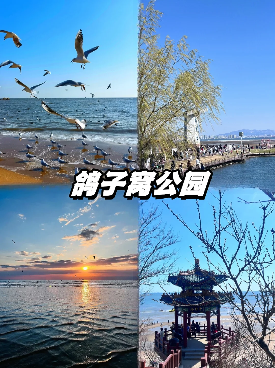 📍秦皇岛｜两天一夜人均300➕精华版攻略