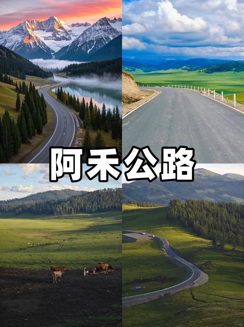 阿勒泰必去九大景点🔥：旅行前的终极指南