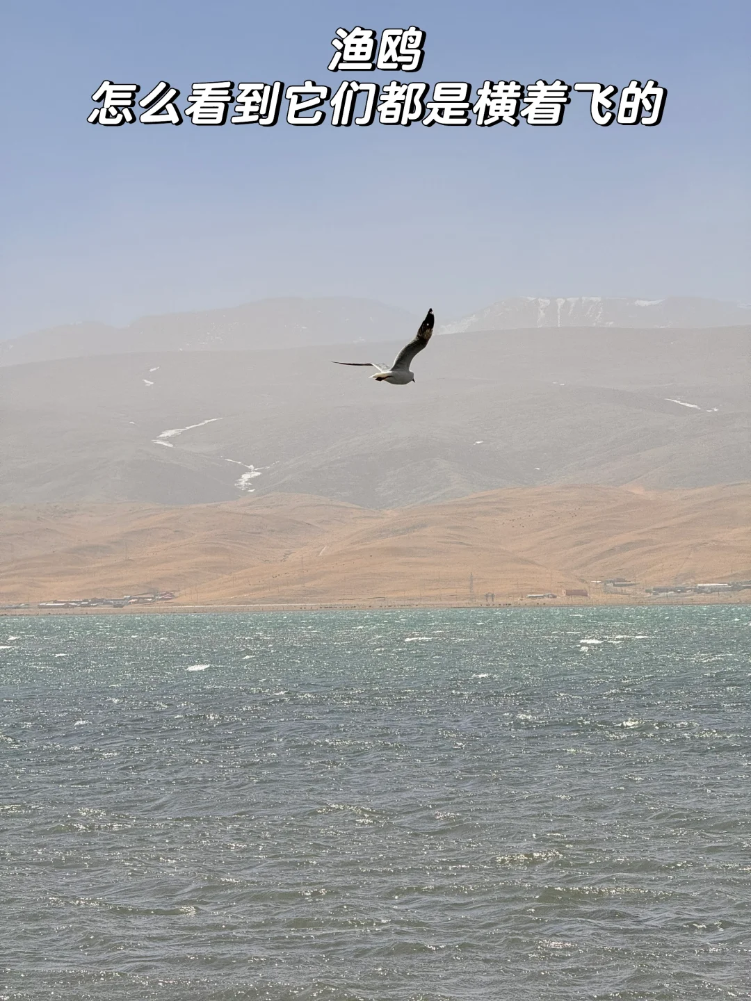 38元青海西宁一日游旅行团真实体验