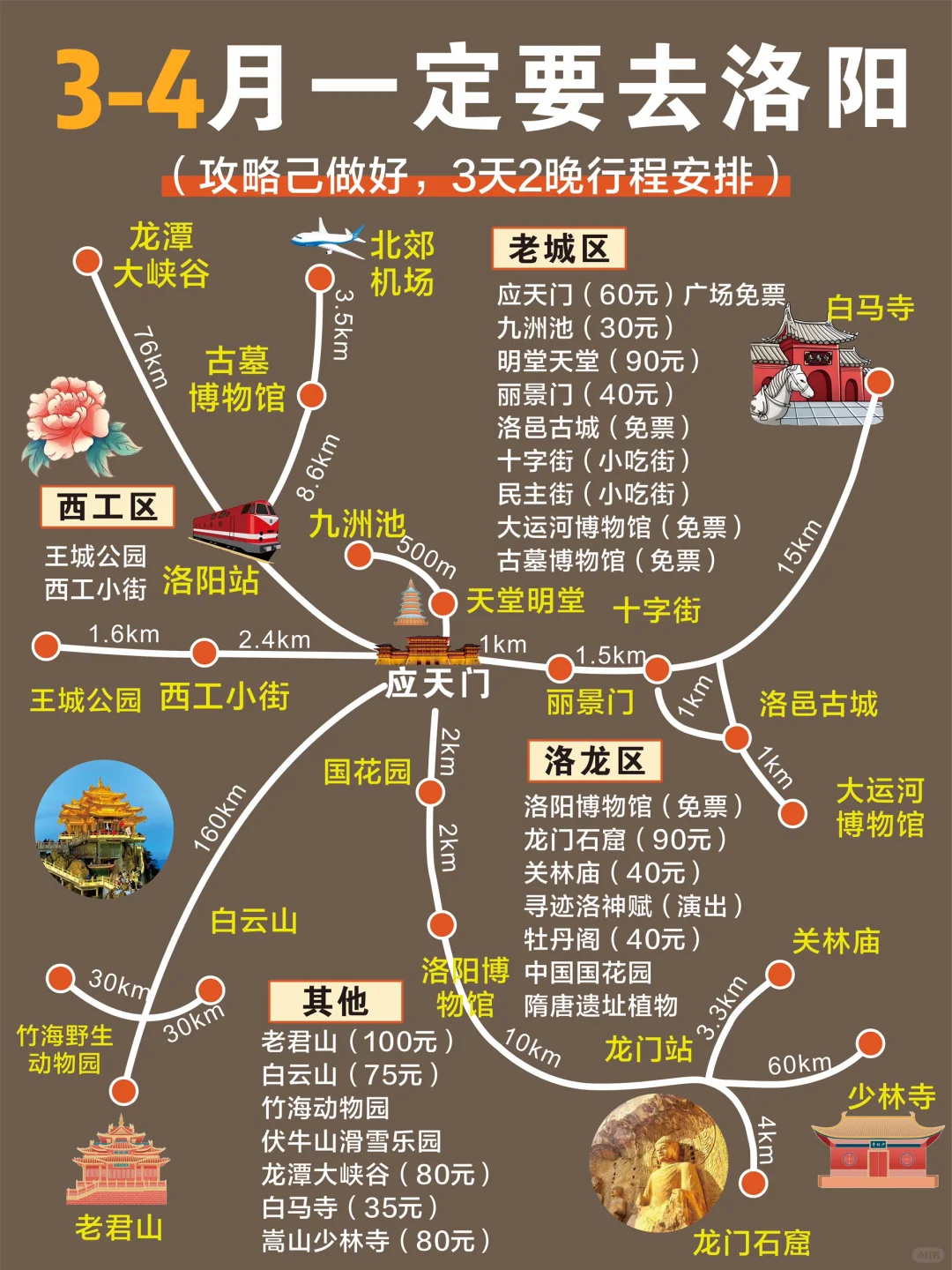终于有人把洛阳游玩说明白了😭直接🐴住